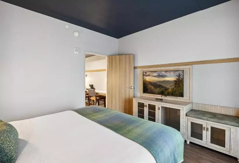 ホテル Dollywood S Heartsong Lodge & Resort