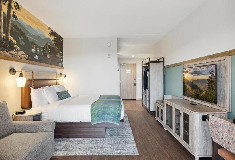 فندق Dollywood S Heartsong Lodge & Resort