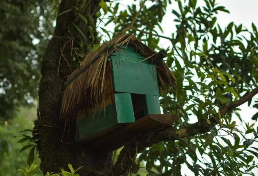 リゾートホテル La Das Treetops