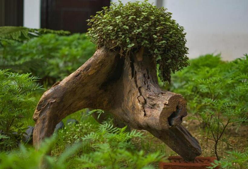 リゾートホテル La Das Treetops