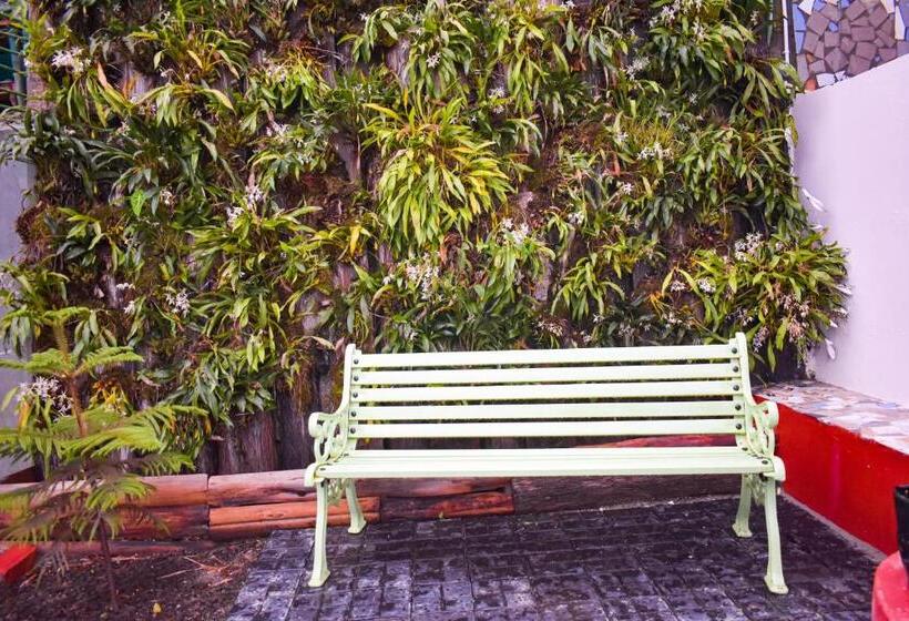 リゾートホテル La Das Treetops