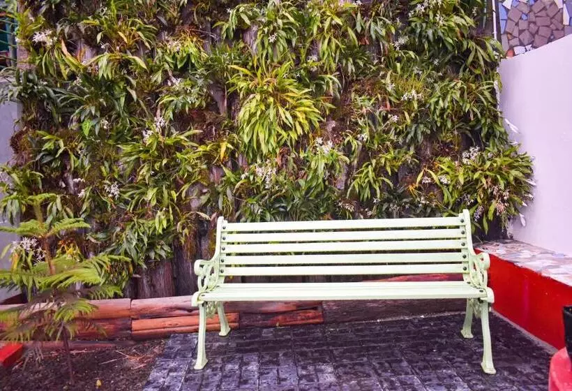 リゾートホテル La Das Treetops