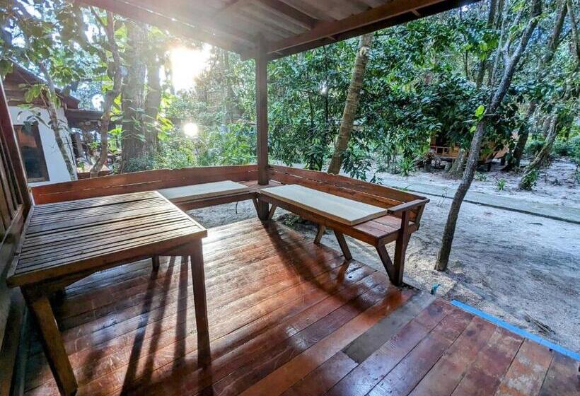 渡假胜地 Ziggy Stardust