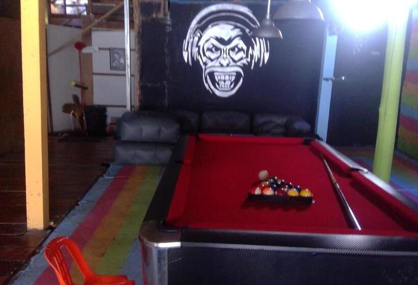 Albergue Crazy Monkey