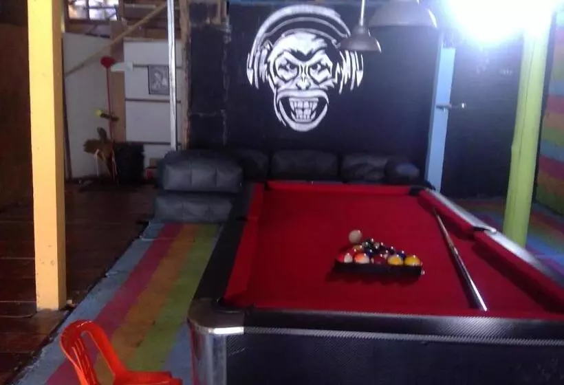 ユースホステル Crazy Monkey