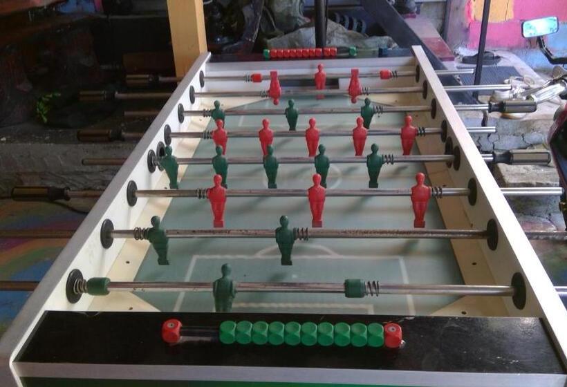 Albergue Crazy Monkey