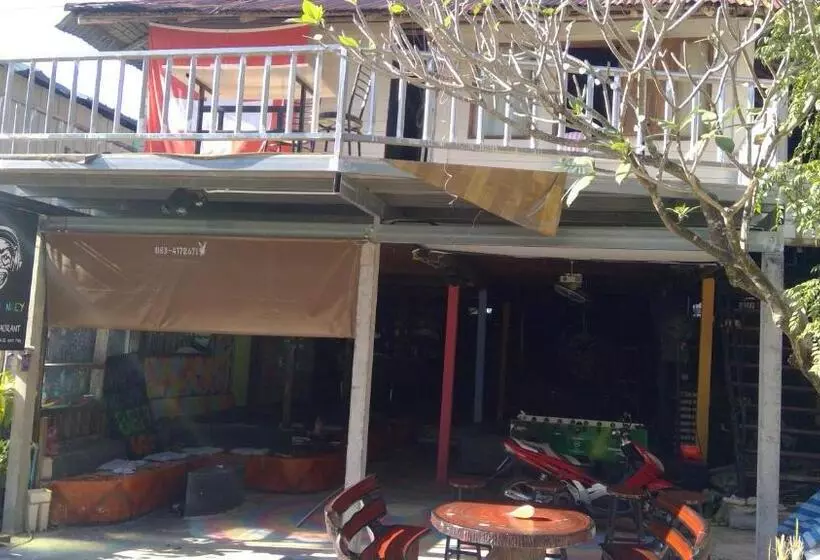 ユースホステル Crazy Monkey