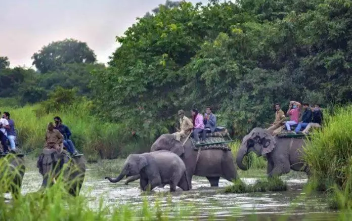 ホテル Kohua Bon   Kaziranga