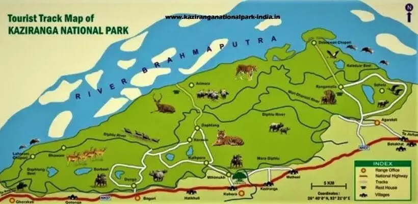 ホテル Kohua Bon   Kaziranga