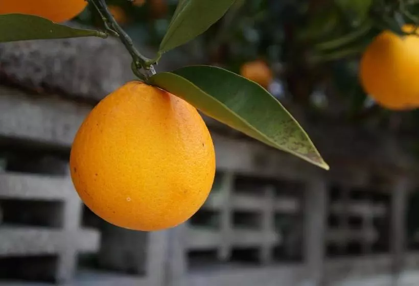 Hotelli 離島 宿navelの学校 三原港から船で14分