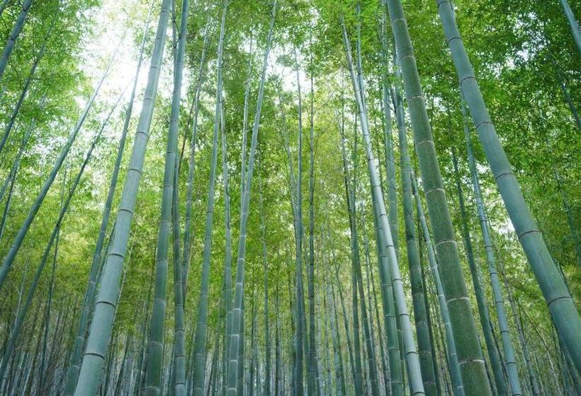 Отель 離島 宿navelの学校 三原港から船で14分