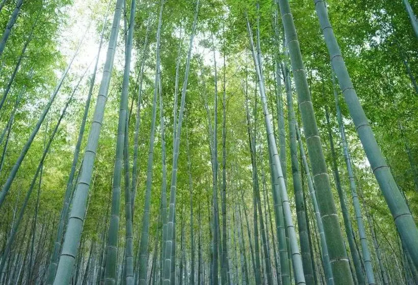 Hotelli 離島 宿navelの学校 三原港から船で14分