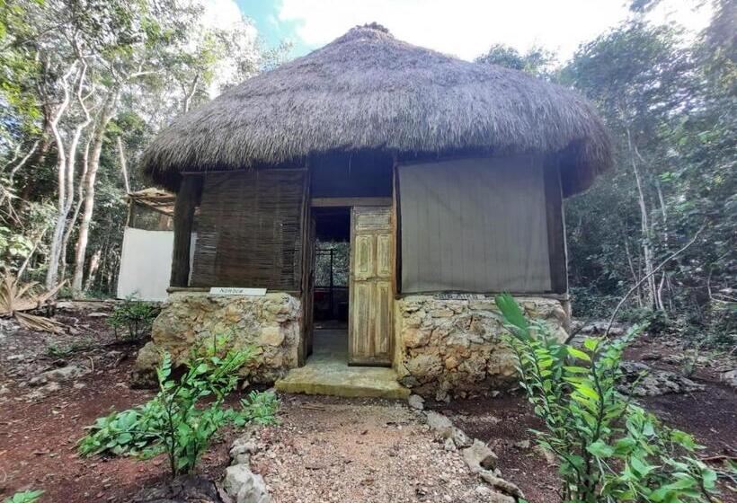 בית מלון כפרי Toto Aiko