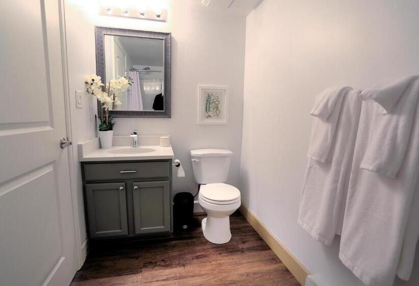 Modern Mountain Delight