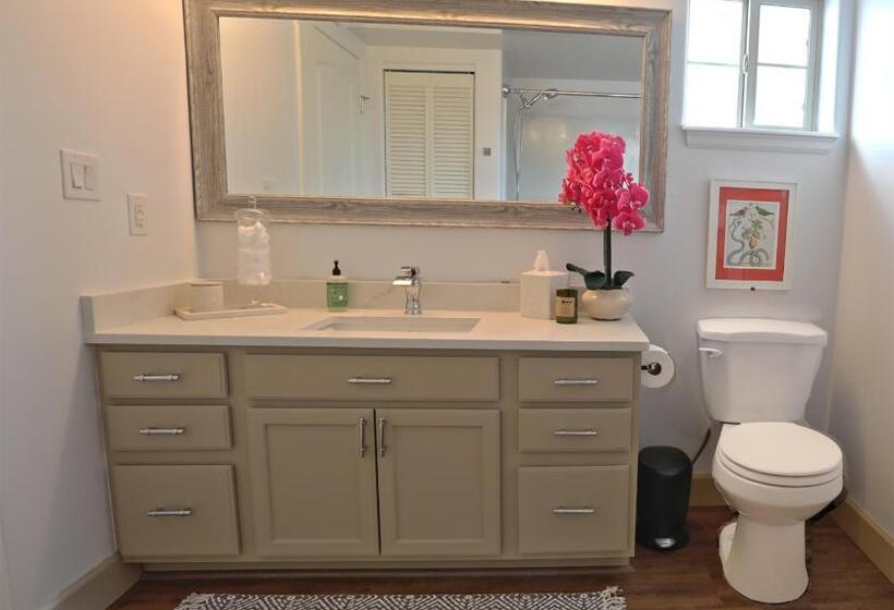 Modern Mountain Delight