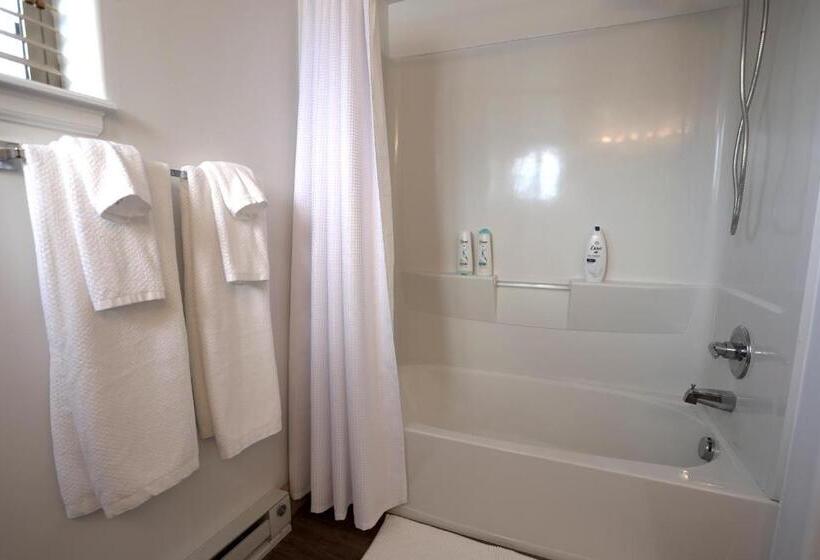 Modern Mountain Delight