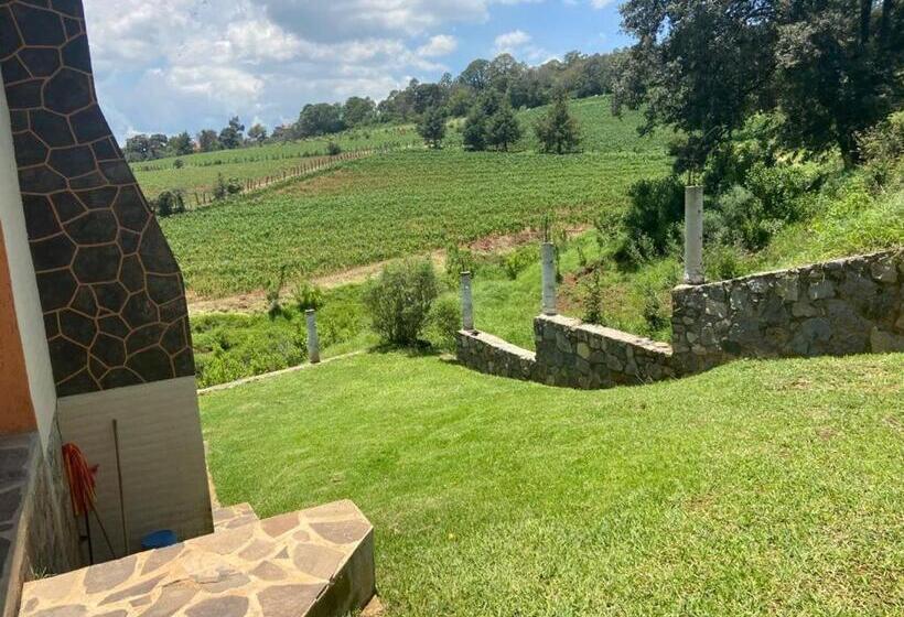 Pension Cabañas Los Girasoles