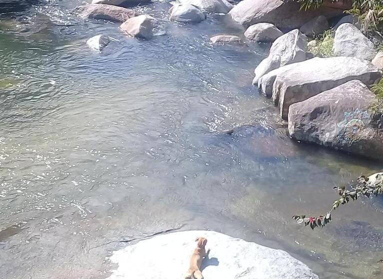 Pension Casapiedra Natural