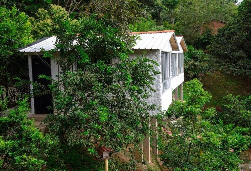 Pension Casapiedra Natural