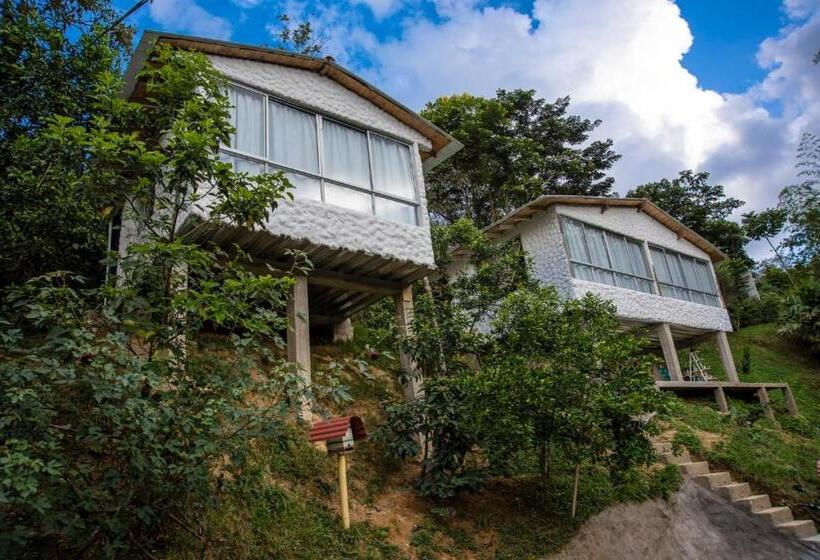 Pension Casapiedra Natural