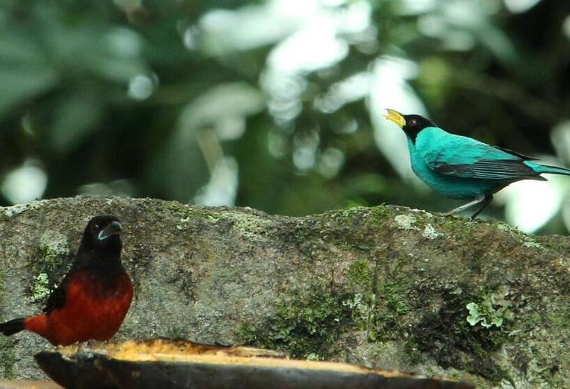 Pension Casapiedra Natural