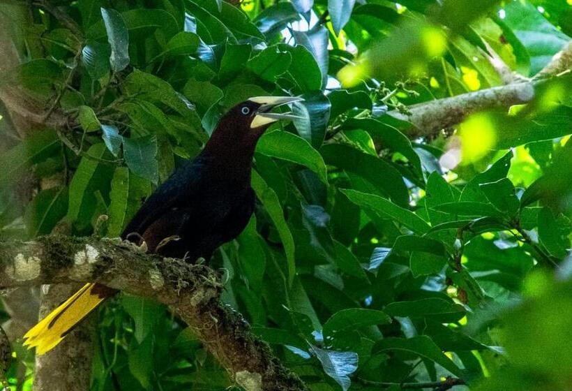 Pension Casapiedra Natural