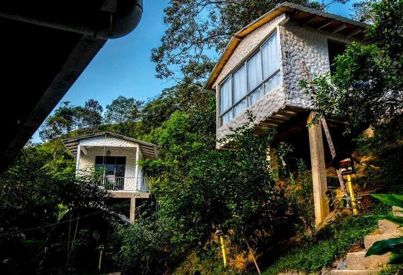 Pension Casapiedra Natural