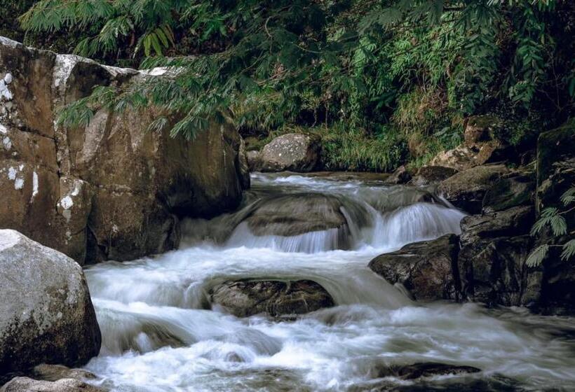 Pension Casapiedra Natural