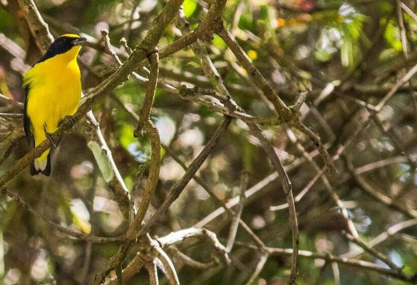 Pension Casapiedra Natural