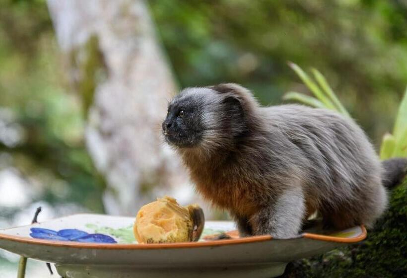 Pension Casapiedra Natural