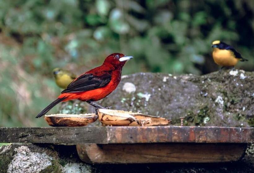 Pension Casapiedra Natural