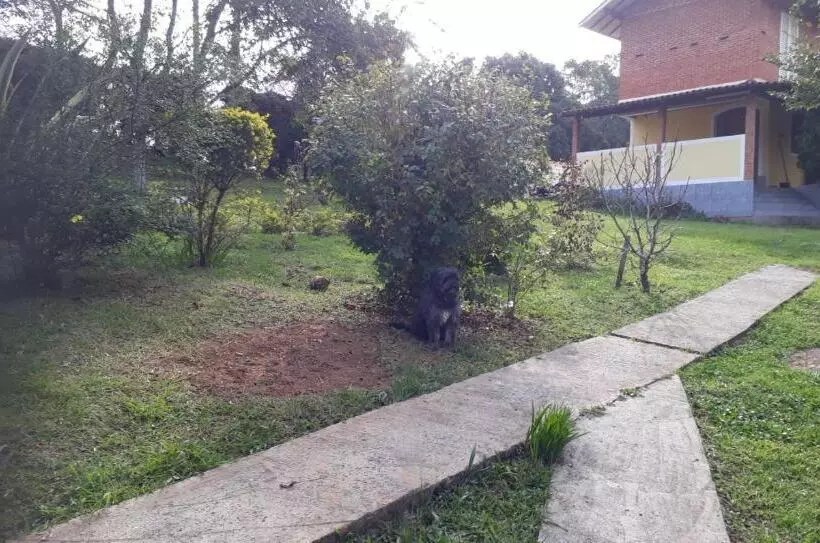 پانسیون Chale Canto Dos Pássaros 2 Fica 3 Kilometros Antes De Monte Verde Mg