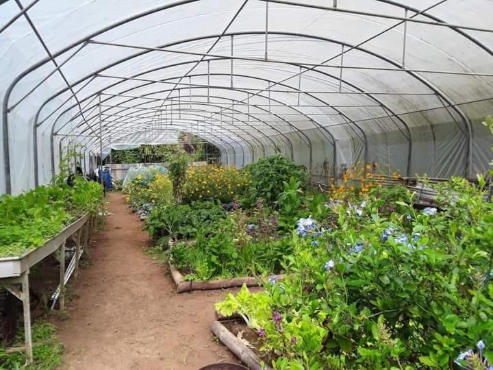 پانسیون Crescent Moon