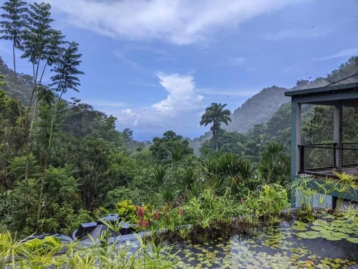 پانسیون Crescent Moon