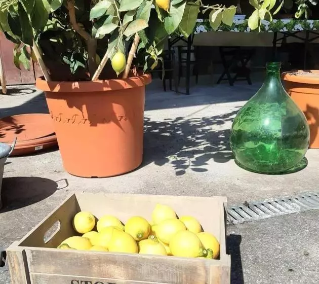 Majatalo Il Corvo Viaggiatore