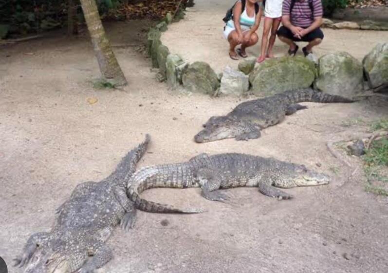 پانسیون La Casa Del Colibrí