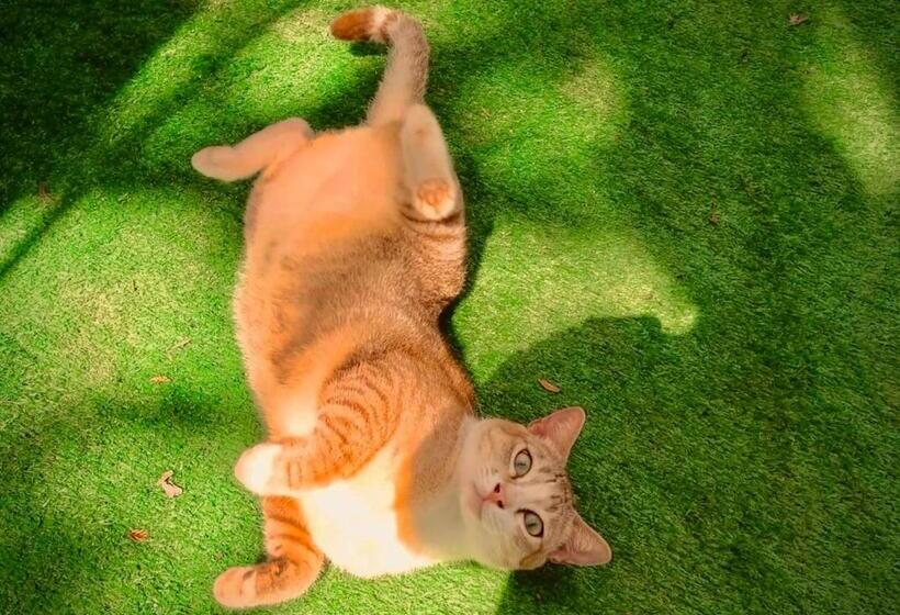 Phayam Garden Resort