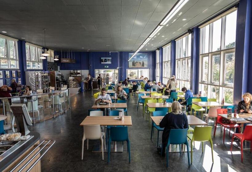 旅馆 Aberystwyth University Bunkhouse