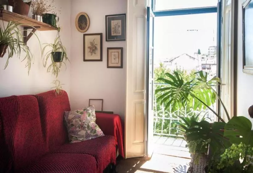 هاستل Oliva Guesthouse