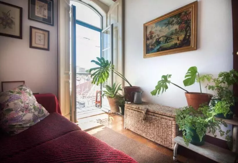 هاستل Oliva Guesthouse