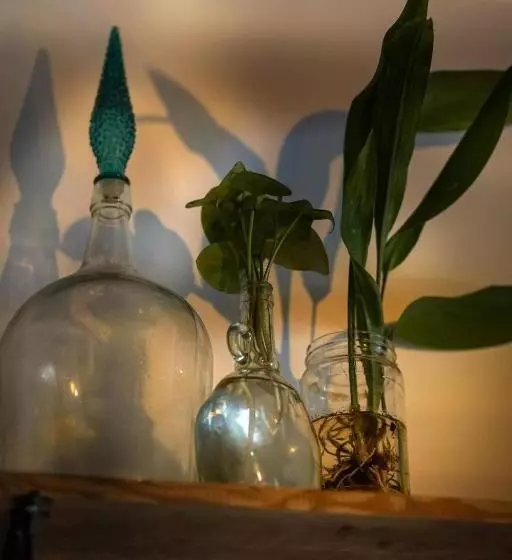 هاستل Oliva Guesthouse