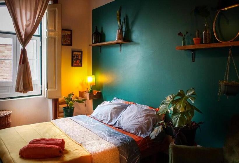 هاستل Oliva Guesthouse