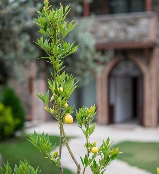 هتل Ephesus Retreat