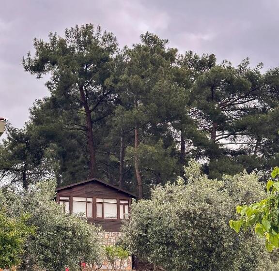 هتل Ephesus Retreat