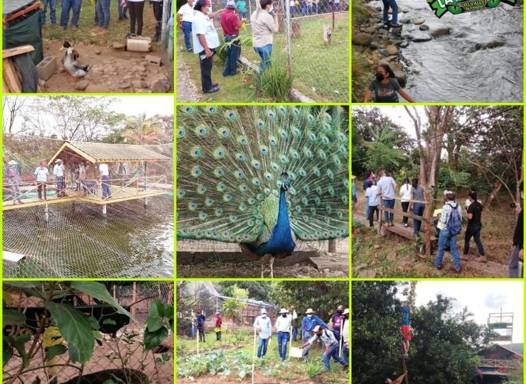 בית מלון כפרי Finca Agroturística Sendero La Pantera