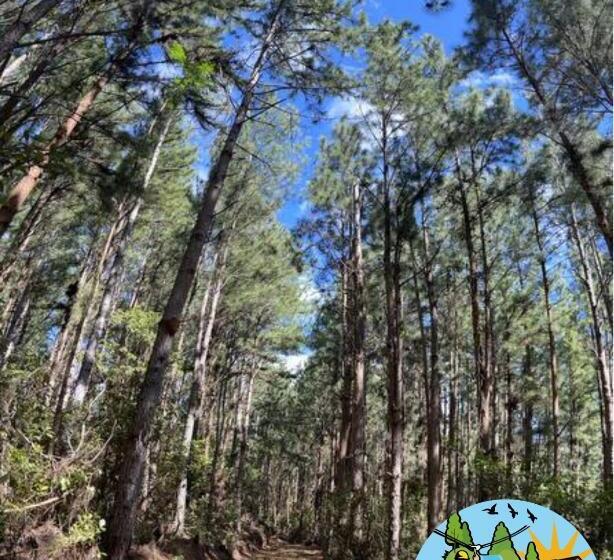 בית מלון כפרי Finca Agroturística Sendero La Pantera