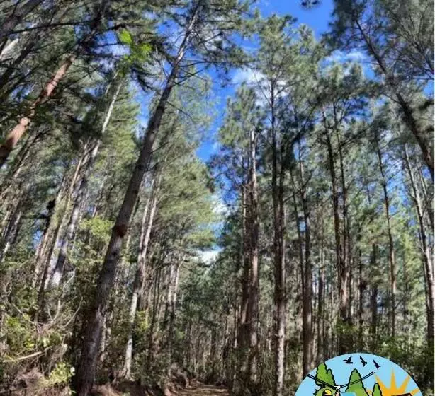ホテル Finca Agroturística Sendero La Pantera