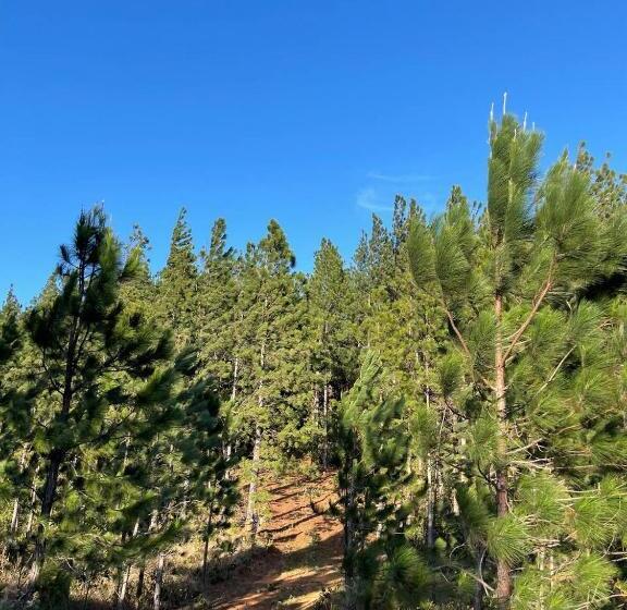 בית מלון כפרי Finca Agroturística Sendero La Pantera