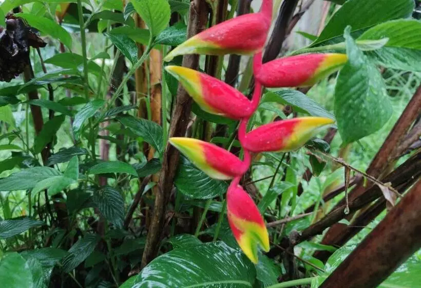 ホテル Finca Agroturística Sendero La Pantera