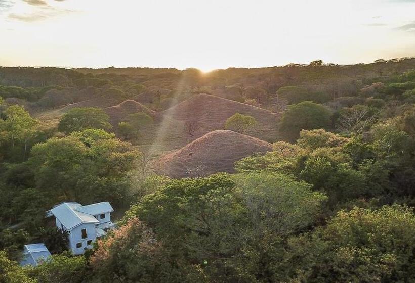 فندق Hostel Nicoa